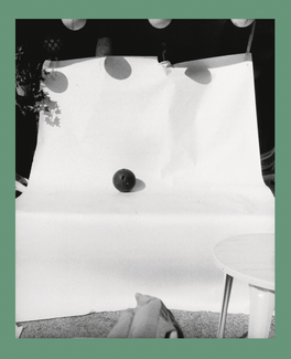 Books - Steidl Verlag